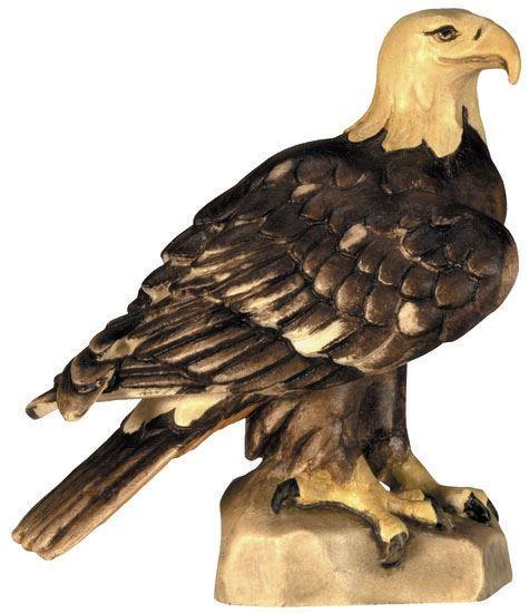 Weisskopfseeadler 6981-B