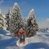 Skifahrer Bub-Holzfigur in Color4